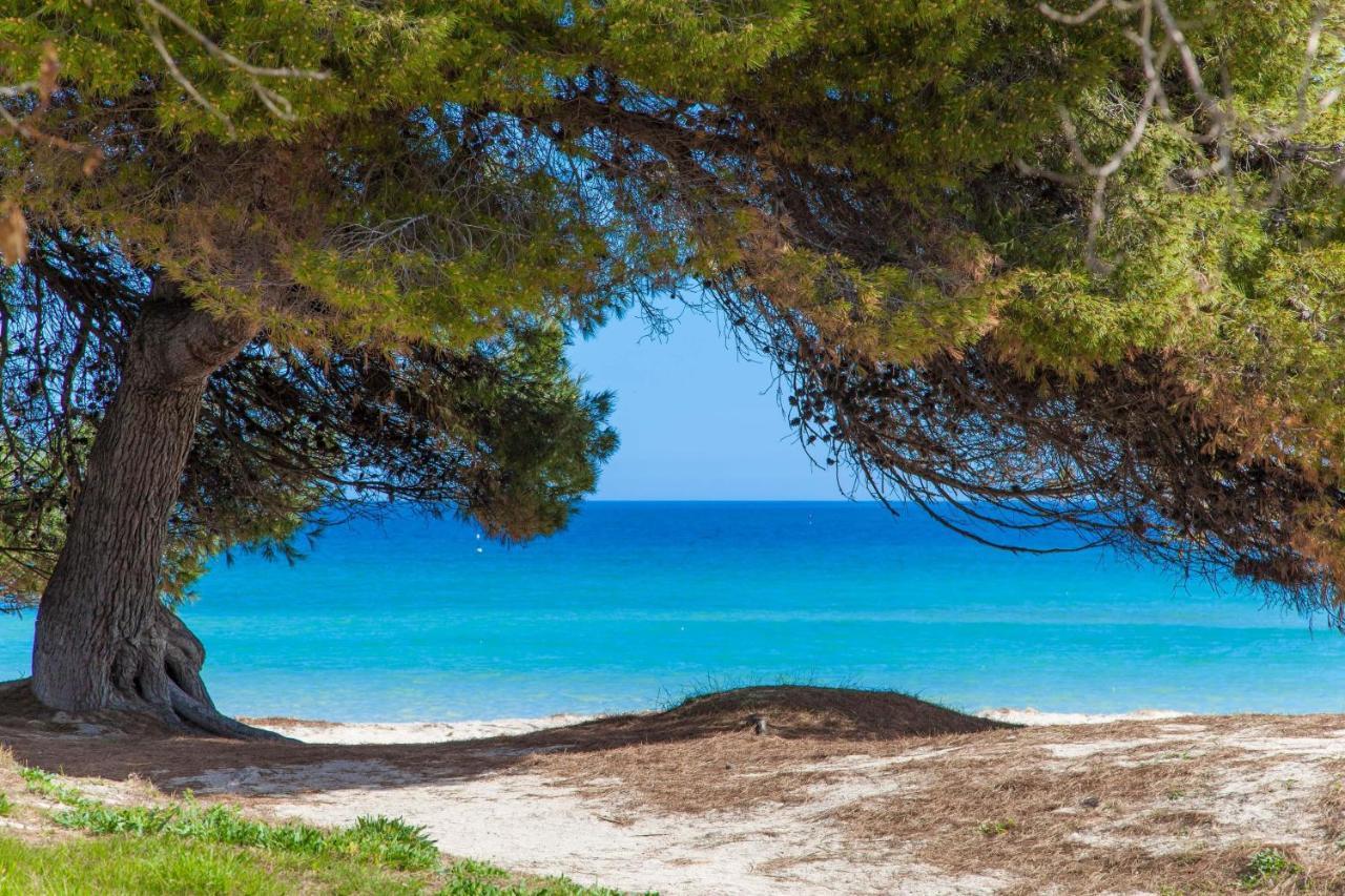 Villa Violeta De Mar à Playa de Muro  Extérieur photo